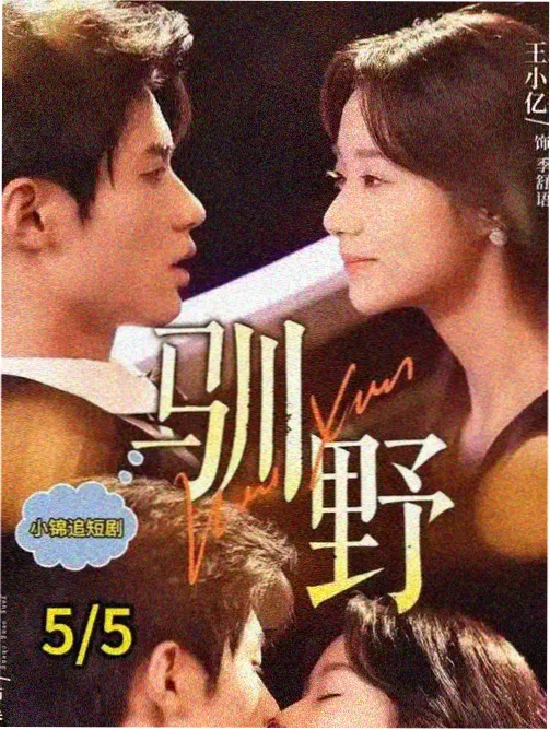 像素时代的眼泪怀旧剧集封面